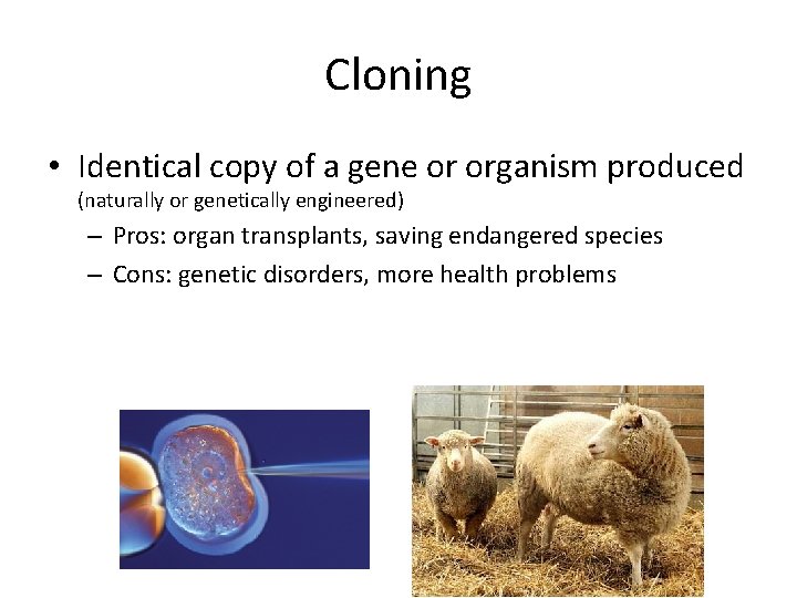 Cloning • Identical copy of a gene or organism produced (naturally or genetically engineered) Cloning • Identical copy of a gene or organism produced (naturally or genetically engineered)