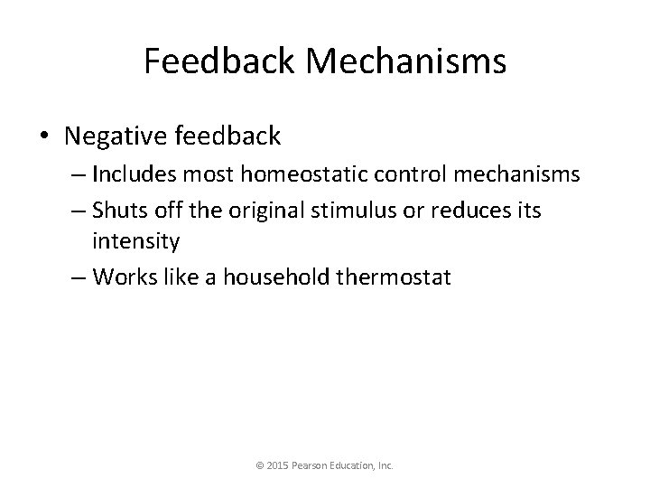 Feedback Mechanisms • Negative feedback – Includes most homeostatic control mechanisms – Shuts off