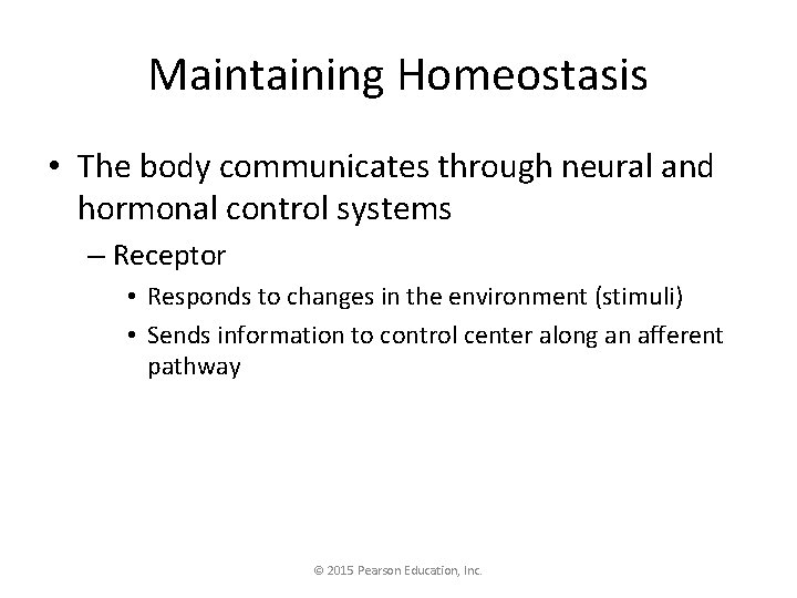 Maintaining Homeostasis • The body communicates through neural and hormonal control systems – Receptor