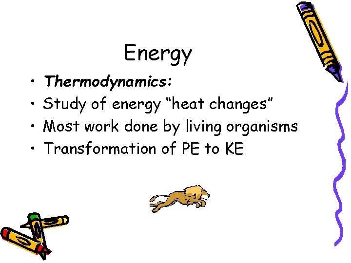 Energy • • Thermodynamics: Study of energy “heat changes” Most work done by living