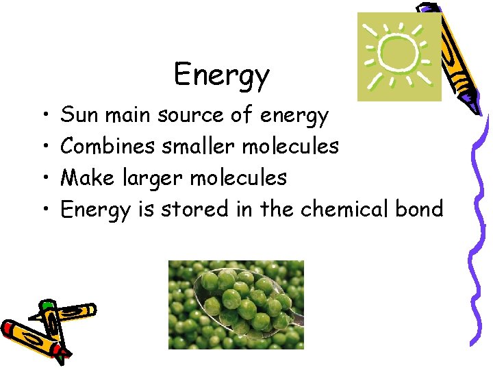 Energy • • Sun main source of energy Combines smaller molecules Make larger molecules