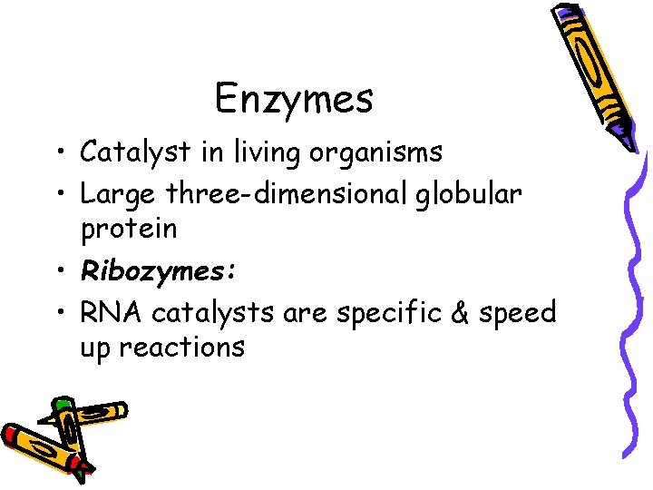 Enzymes • Catalyst in living organisms • Large three-dimensional globular protein • Ribozymes: •