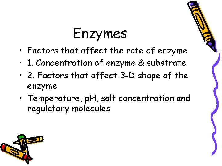 Enzymes • Factors that affect the rate of enzyme • 1. Concentration of enzyme