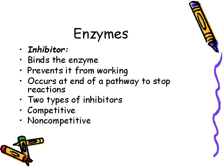 Enzymes • • Inhibitor: Binds the enzyme Prevents it from working Occurs at end