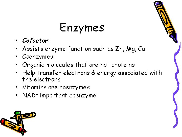 Enzymes • • • Cofactor: Assists enzyme function such as Zn, Mg, Cu Coenzymes: