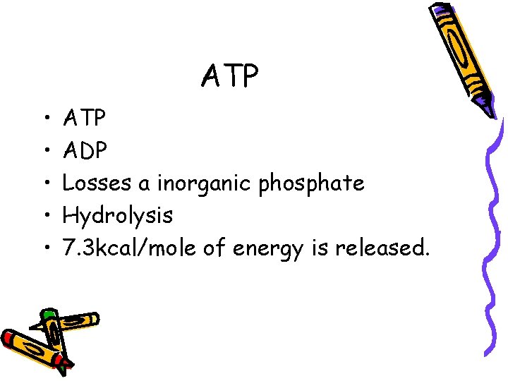 ATP • • • ATP ADP Losses a inorganic phosphate Hydrolysis 7. 3 kcal/mole