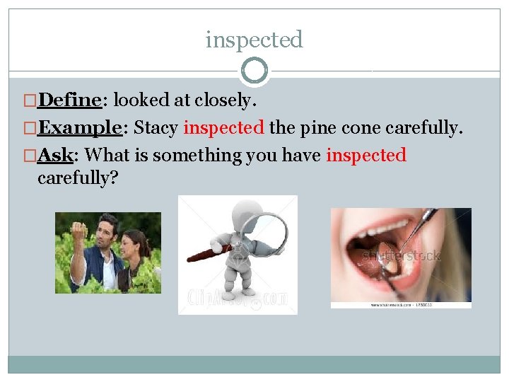 inspected �Define: looked at closely. �Example: Stacy inspected the pine cone carefully. �Ask: What
