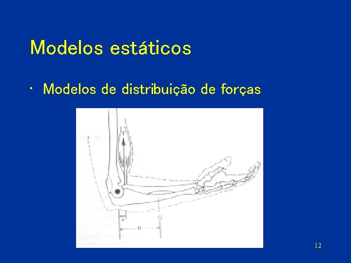 Modelos estáticos • Modelos de distribuição de forças 12 