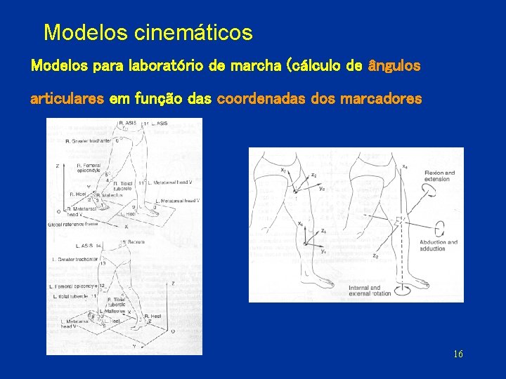Modelos cinemáticos Modelos para laboratório de marcha (cálculo de ângulos articulares em função das