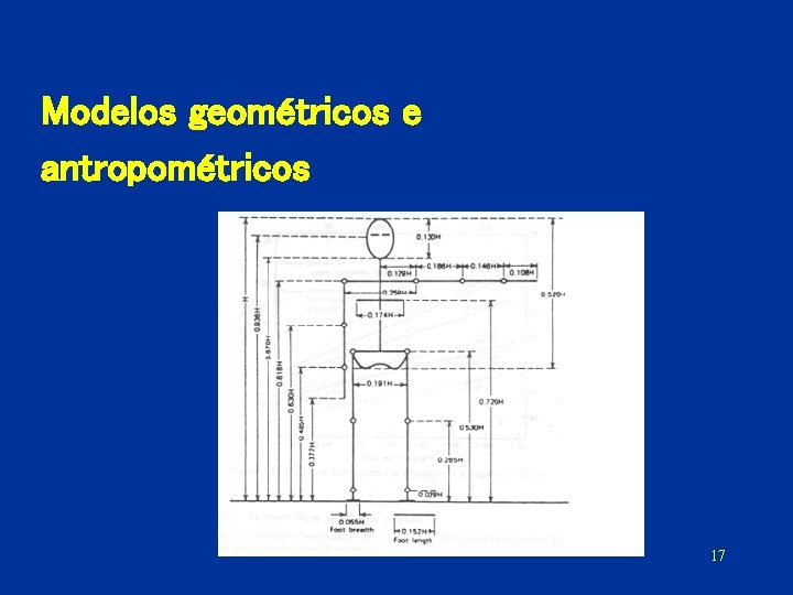 Modelos geométricos e antropométricos 17 