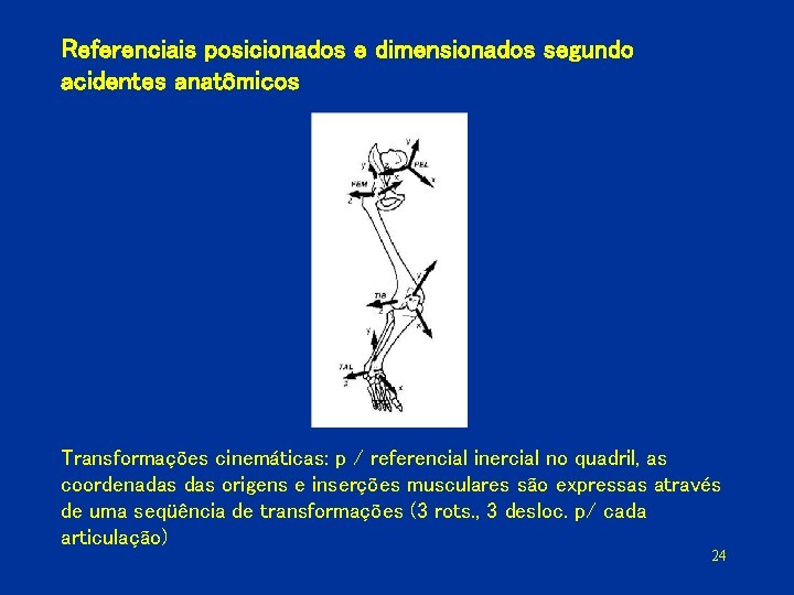 Referenciais posicionados e dimensionados segundo acidentes anatômicos Transformações cinemáticas: p / referencial inercial no