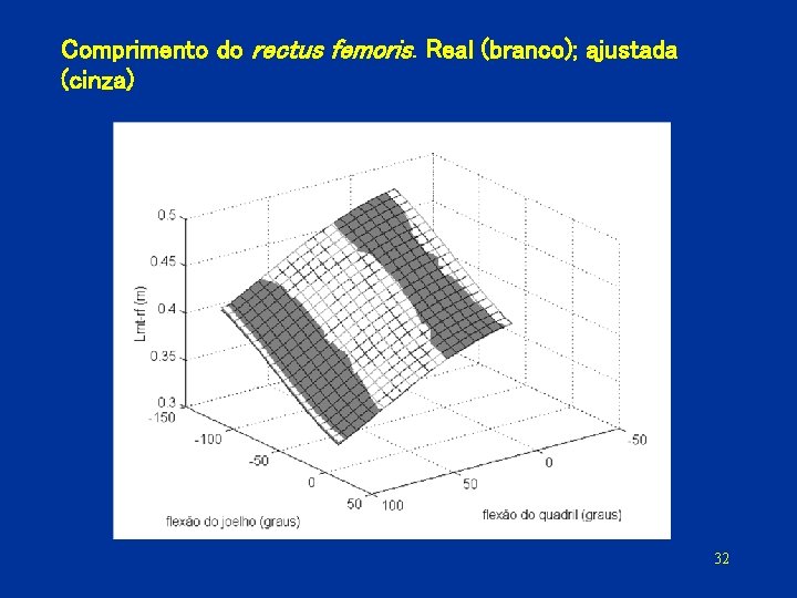 Comprimento do rectus femoris. Real (branco); ajustada (cinza) 32 