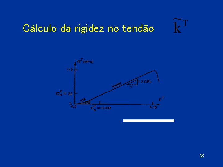 Cálculo da rigidez no tendão 35 