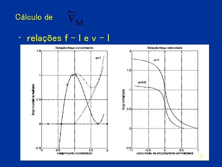 Cálculo de • relações f - l e v - l 37 