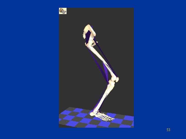 53 