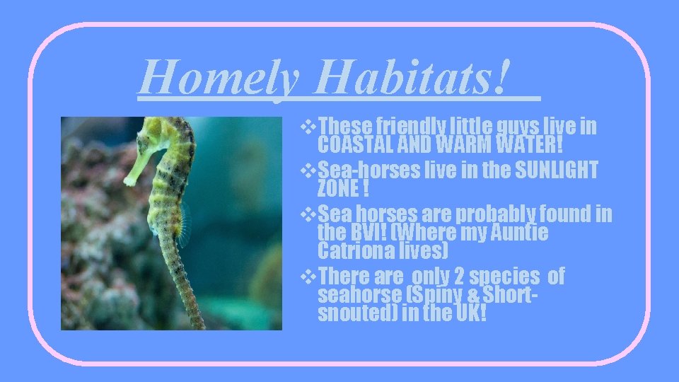 Homely Habitats! v. These friendly little guys live in COASTAL AND WARM WATER! v.