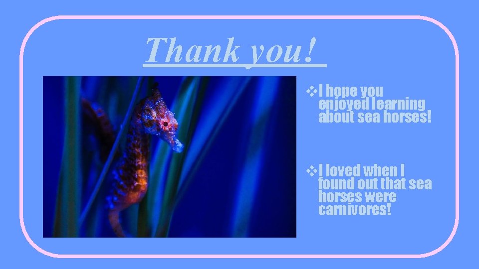 Thank you! v. I hope you enjoyed learning about sea horses! v. I loved