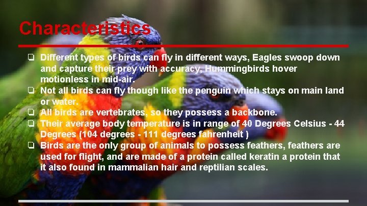 Characteristics ❏ Different types of birds can fly in different ways, Eagles swoop down