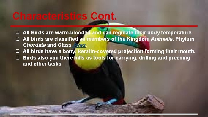 Characteristics Cont. ❏ All Birds are warm-blooded and can regulate their body temperature. ❏