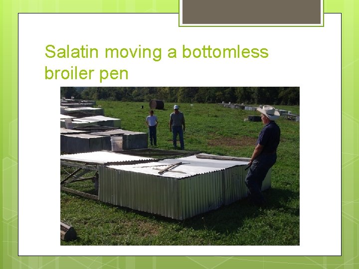 Salatin moving a bottomless broiler pen 