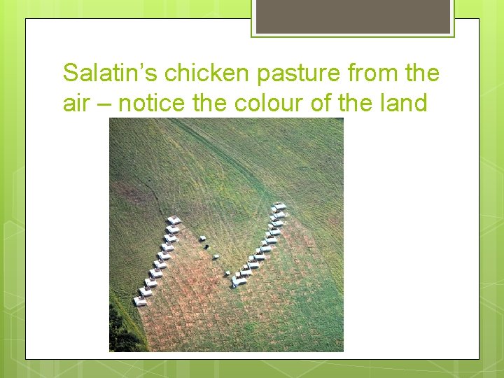 Salatin’s chicken pasture from the air – notice the colour of the land 