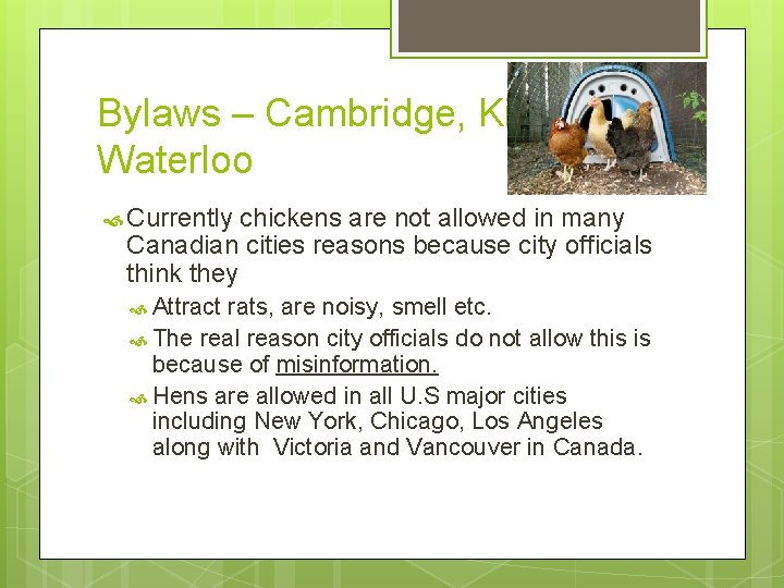 Bylaws – Cambridge, Kitchener, Waterloo Currently chickens are not allowed in many Canadian cities