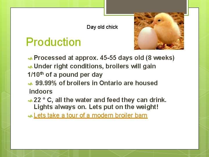 Day old chick Production Processed at approx. 45 -55 days old (8 weeks) Under