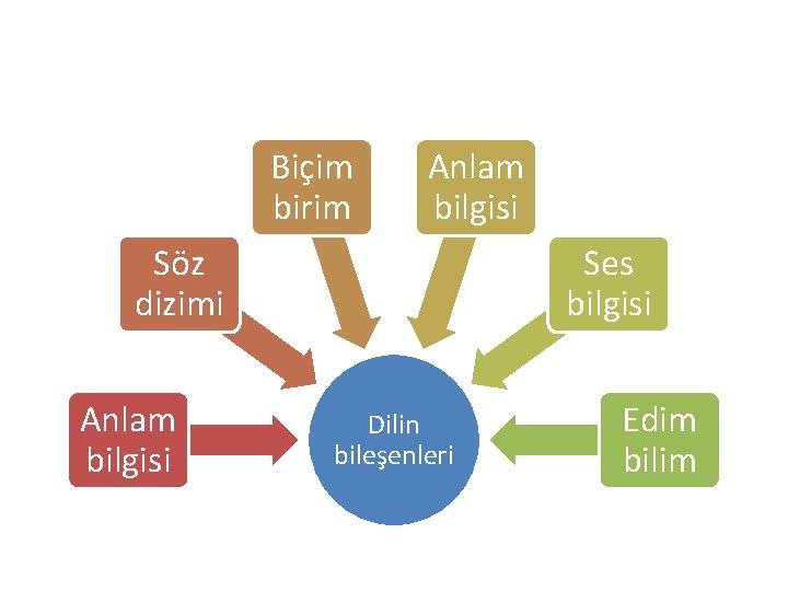 Biçim birim Anlam bilgisi Söz dizimi Anlam bilgisi Ses bilgisi Dilin bileşenleri Edim bilim