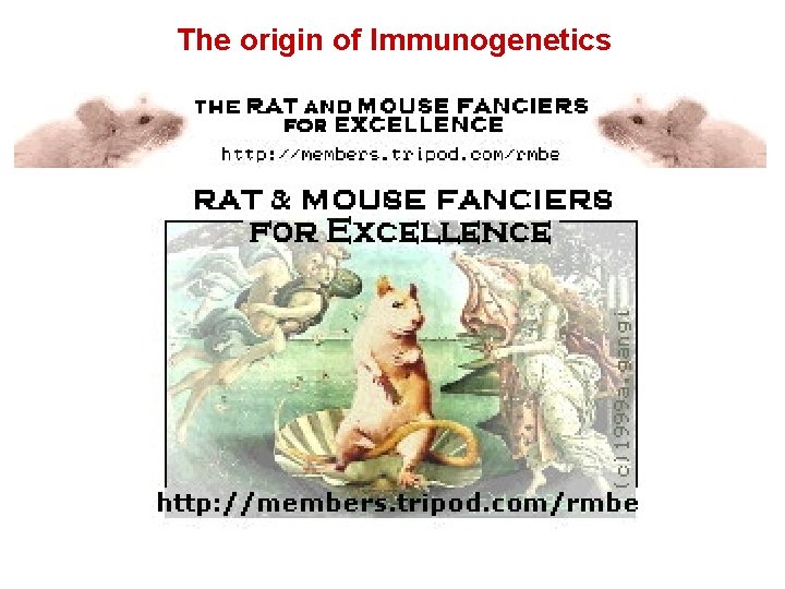 The origin of Immunogenetics 