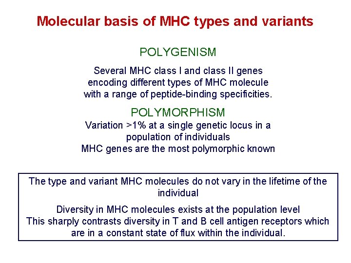 Molecular basis of MHC types and variants POLYGENISM Several MHC class I and class