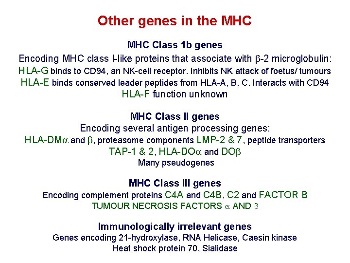 Other genes in the MHC Class 1 b genes Encoding MHC class I-like proteins