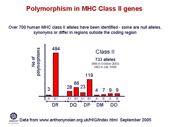 Polymorphism in MHC Class II genes Over 700 human MHC class II alleles have