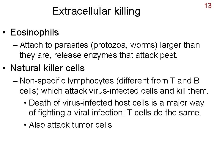 Extracellular killing 13 • Eosinophils – Attach to parasites (protozoa, worms) larger than they