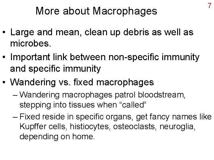 More about Macrophages 7 • Large and mean, clean up debris as well as