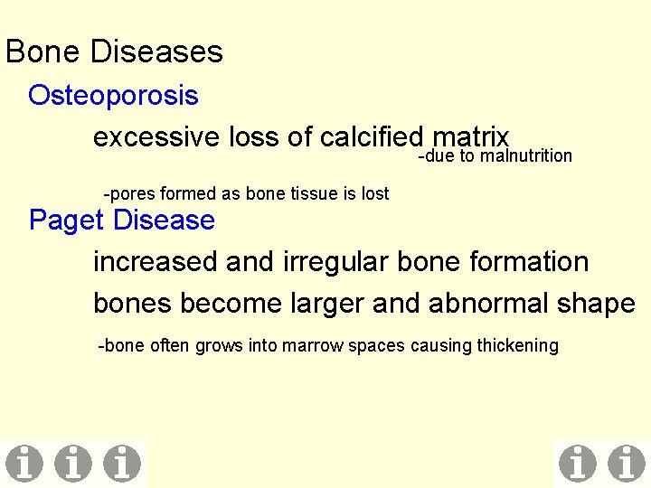 Bone Diseases Osteoporosis excessive loss of calcified matrix -due to malnutrition -pores formed as