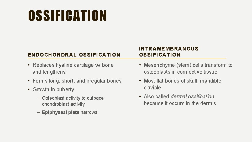 OSSIFICATION ENDOCHONDRAL OSSIFICATION INTRAMEMBRANOUS OSSIFICATION • Replaces hyaline cartilage w/ bone and lengthens •