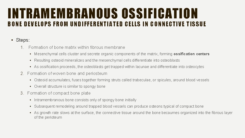 INTRAMEMBRANOUS OSSIFICATION BONE DEVELOPS FROM UNDIFFERENTIATED CELLS IN CONNECTIVE TISSUE • Steps: 1. Formation