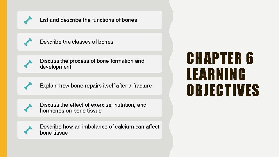 List and describe the functions of bones Describe the classes of bones Discuss the