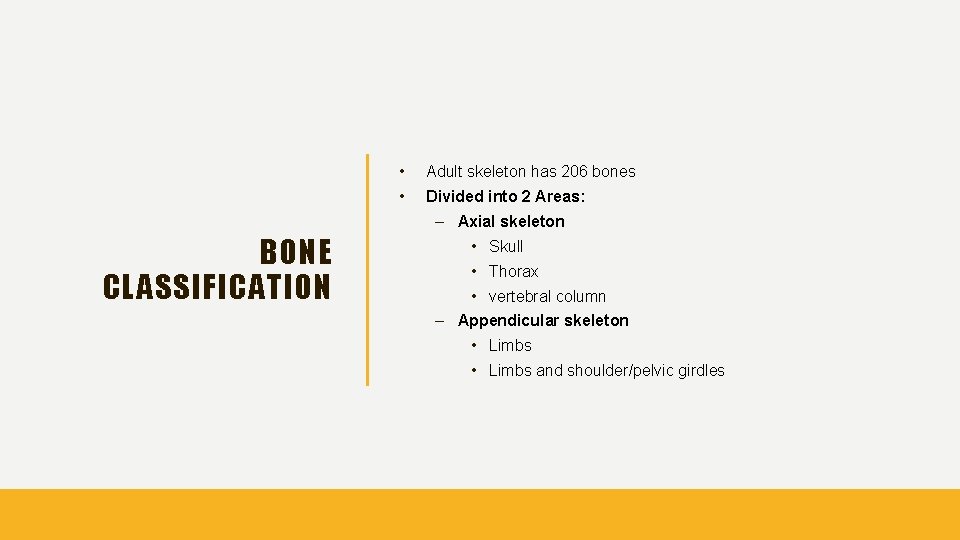  • Adult skeleton has 206 bones • Divided into 2 Areas: – Axial