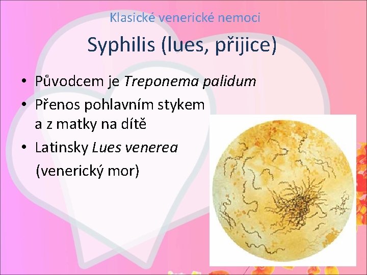 Klasické venerické nemoci Syphilis (lues, přijice) • Původcem je Treponema palidum • Přenos pohlavním