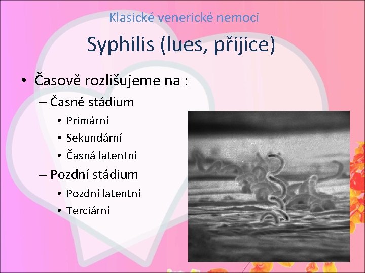 Klasické venerické nemoci Syphilis (lues, přijice) • Časově rozlišujeme na : – Časné stádium