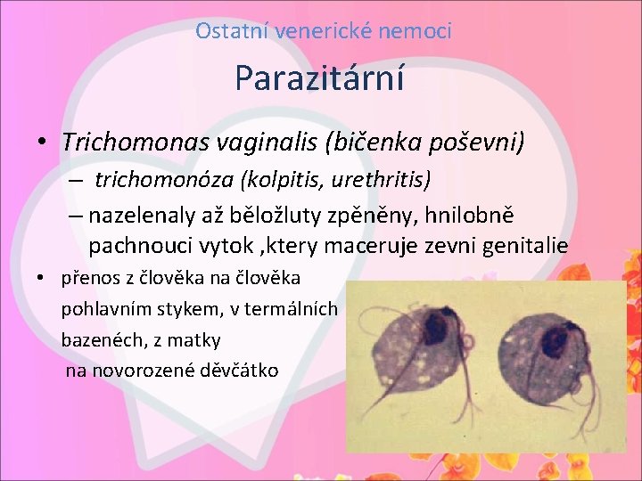 Ostatní venerické nemoci Parazitární • Trichomonas vaginalis (bičenka poševni) – trichomonóza (kolpitis, urethritis) –