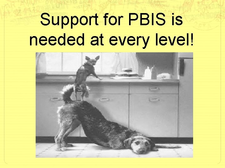 Support for PBIS is needed at every level! 