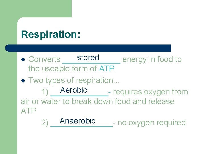 Respiration: stored Converts _______ energy in food to the useable form of ATP. l