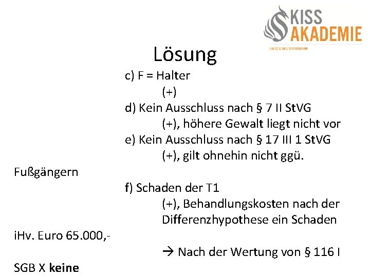 Lösung Fußgängern i. Hv. Euro 65. 000, SGB X keine c) F = Halter