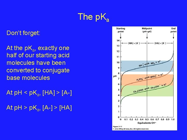 The p. Ka Don’t forget: At the p. Ka, exactly one half of our The p. Ka Don’t forget: At the p. Ka, exactly one half of our