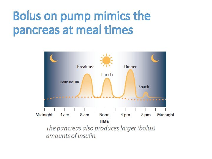 Bolus on pump mimics the pancreas at meal times 