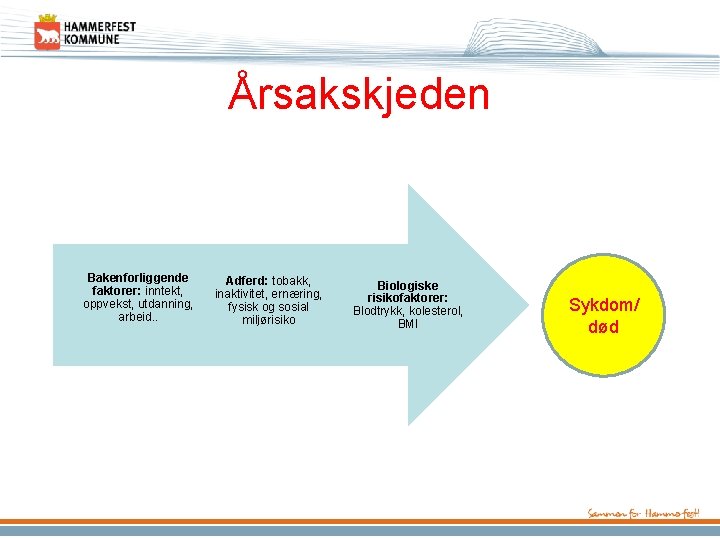 Årsakskjeden Bakenforliggende faktorer: inntekt, oppvekst, utdanning, arbeid. . Adferd: tobakk, inaktivitet, ernæring, fysisk og