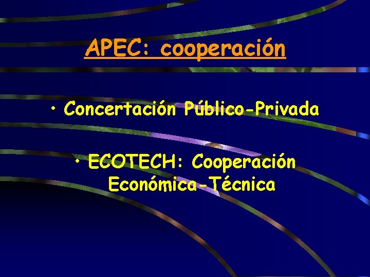 APEC: cooperación • Concertación Público-Privada • ECOTECH: Cooperación Económica-Técnica 