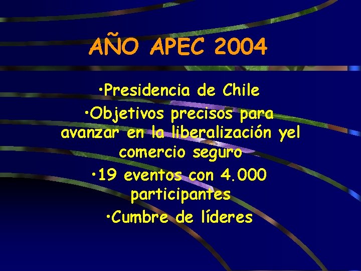 AÑO APEC 2004 • Presidencia de Chile • Objetivos precisos para avanzar en la